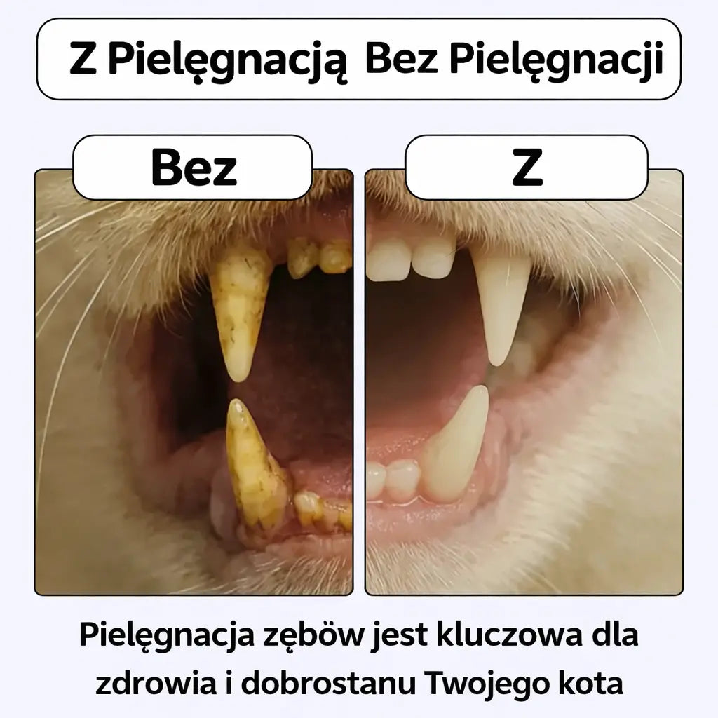 Gryzolek – Twój kot go pokocha