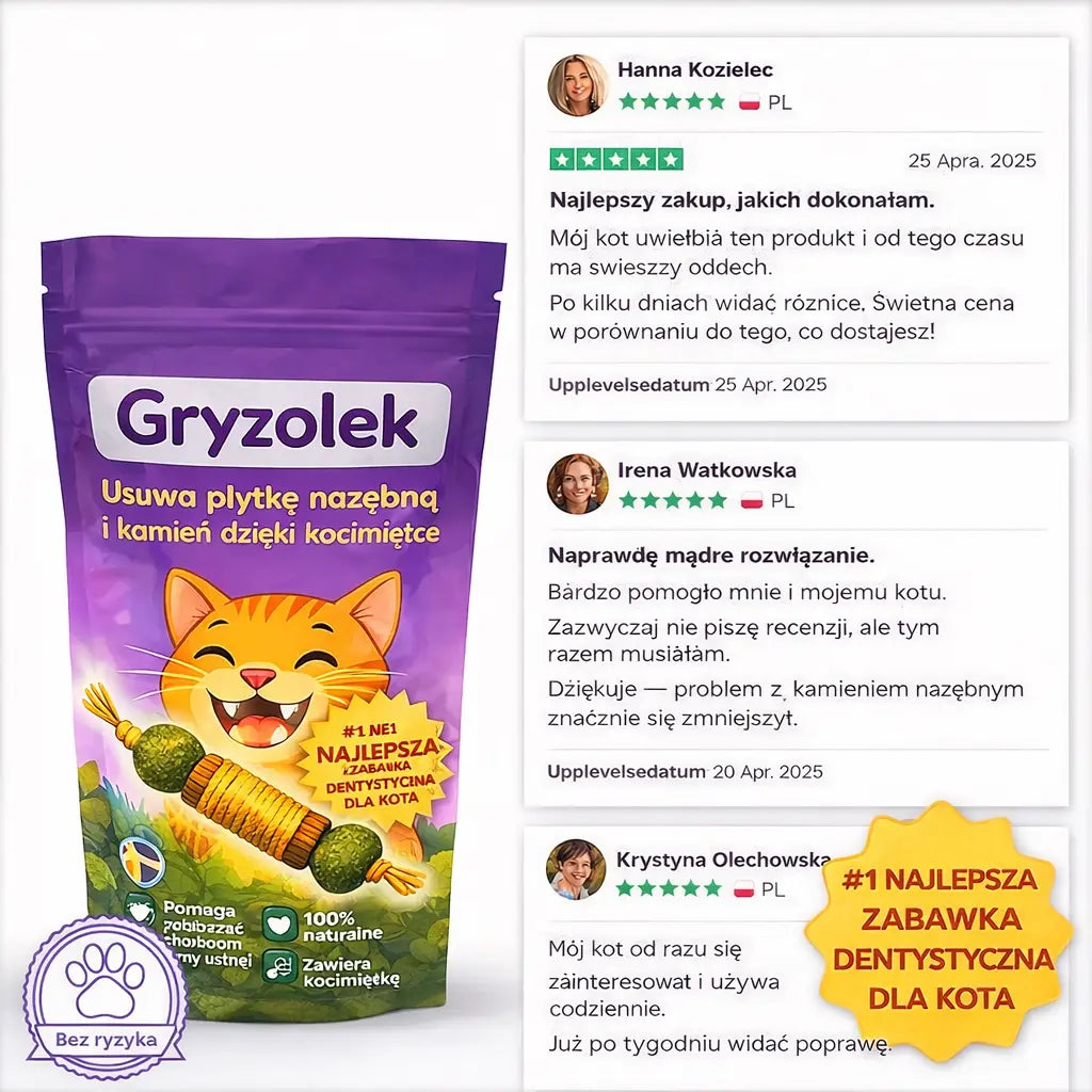 Gryzolek – Twój kot go pokocha
